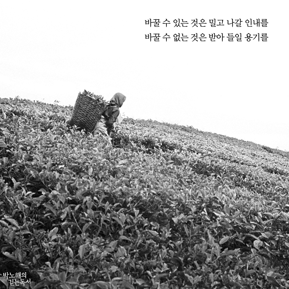 박노해의 걷는 독서 - 바꿀 수 있는 것은