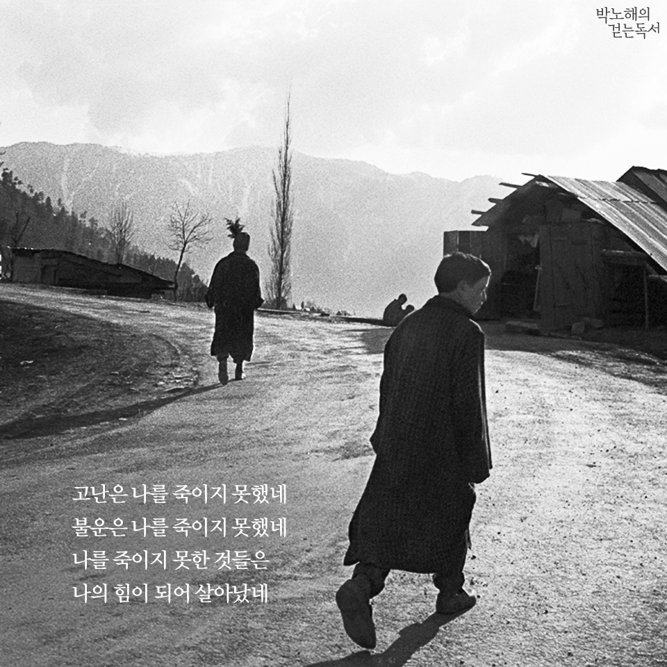 박노해의 걷는 독서 - 고난은 나를 죽이지 못했네